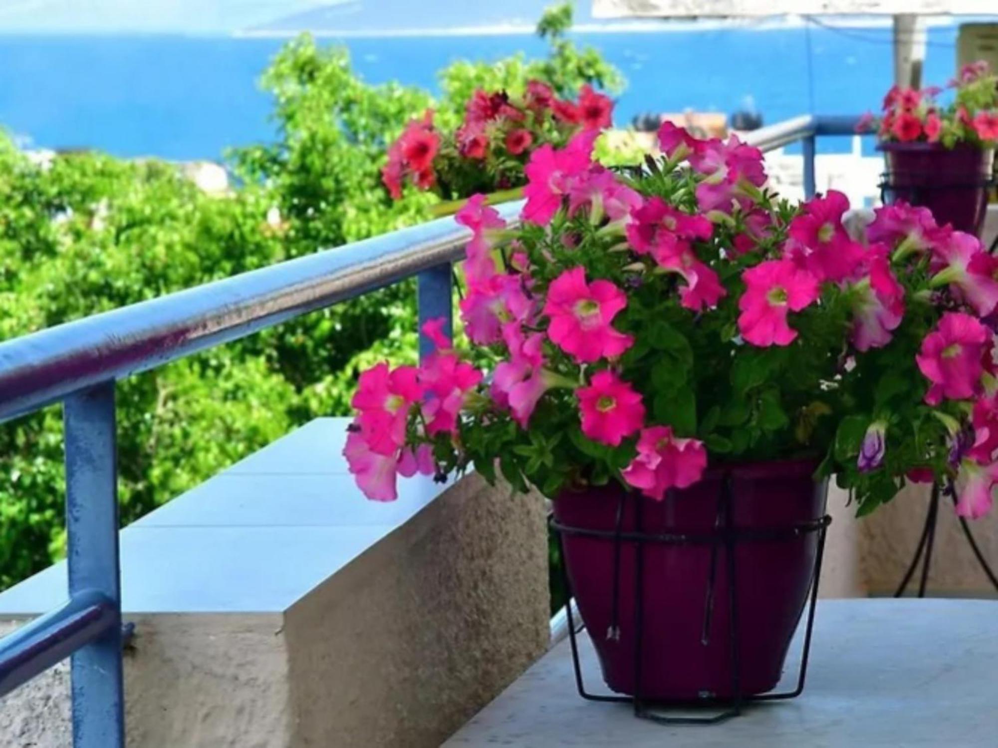 טולון Konstantinos Apartments מראה חיצוני תמונה